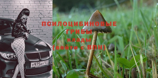 твердый Горно-Алтайск