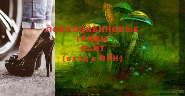 твердый Горно-Алтайск