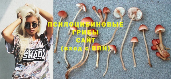 твердый Горно-Алтайск