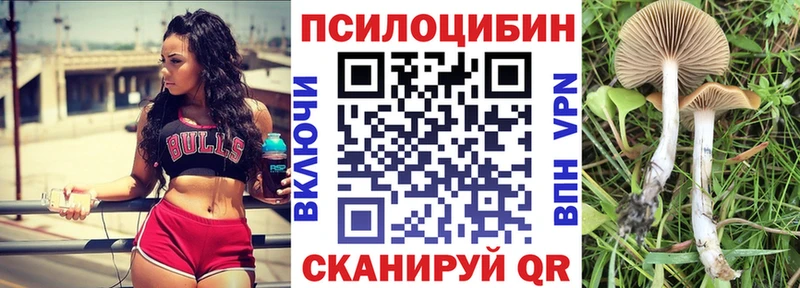 продажа наркотиков  Евпатория  Псилоцибиновые грибы мухоморы 